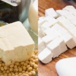 Difference Between Tofu & Paneer? Tofu vs Paneer – Which is Healthier?